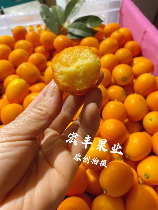 宏丰精选  阳塑金桔，口感甜，活动价9.9元一斤 商品图4