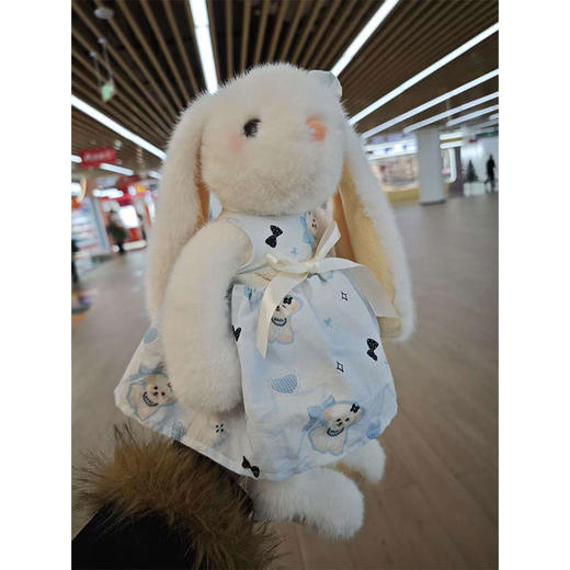 小号田园兔毛绒公仔-纪念日百货门店同款168898256 商品图1