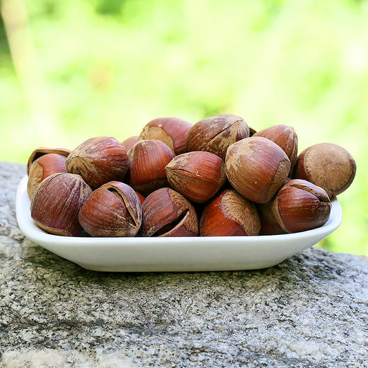 西域美农 东北开口大榛子 230g/罐 商品图4