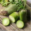 沙窝萝卜,翠绿嘎嘣脆，生态种植，品质安心，顺丰包邮，72小时发货急件慎拍！ 商品缩略图2