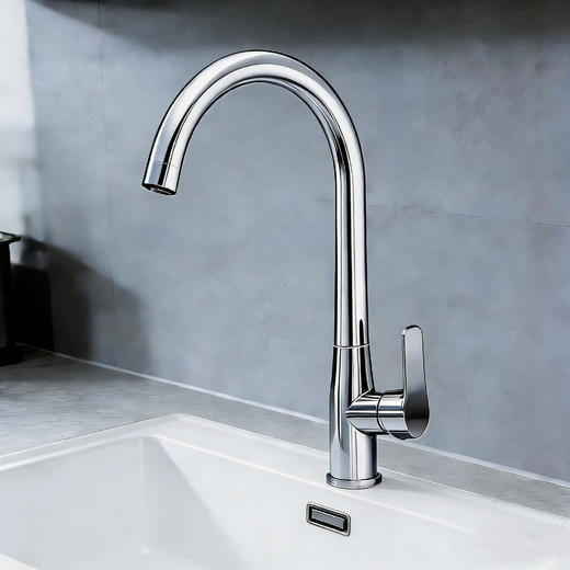 SQ：6341-2雷杰多冷热菜盆龙头-电镀 商品图2