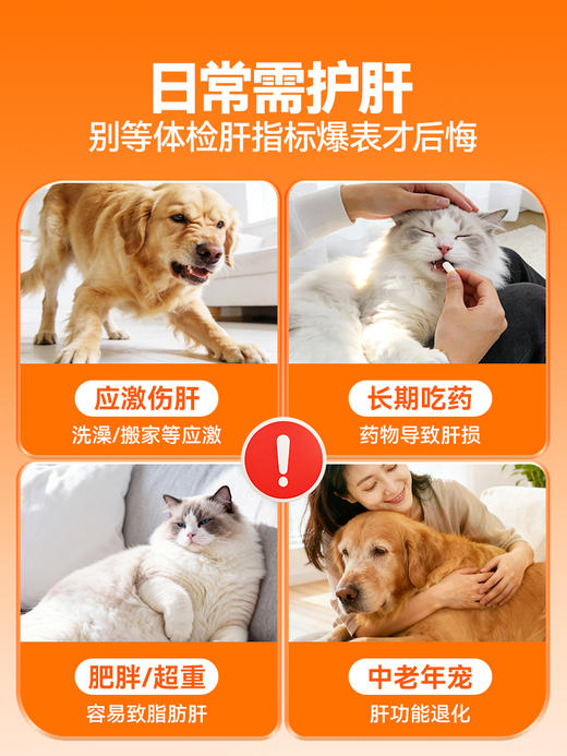 普安特宠物肝宝片狗狗猫咪肝炎肝病肝功能受损胆囊炎症肝脏糖尿病(产品升级） 商品图1