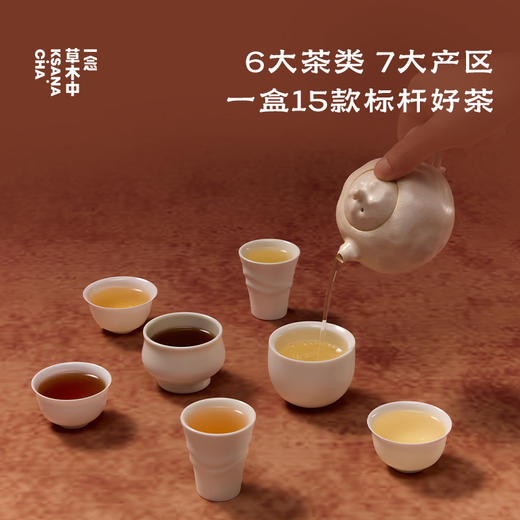 【余额100%全返】寻茶中国3.0·风味盒子61g/盒 | 十五口味 商品图2