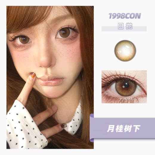 月桂树下（日抛型） 商品图0