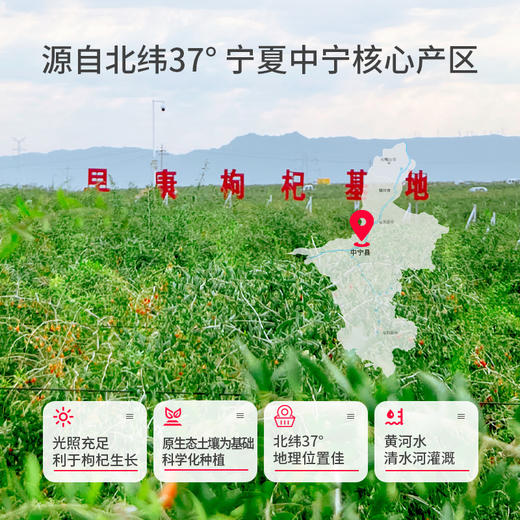 鲜枸杞原浆300ml瓶装 商品图4