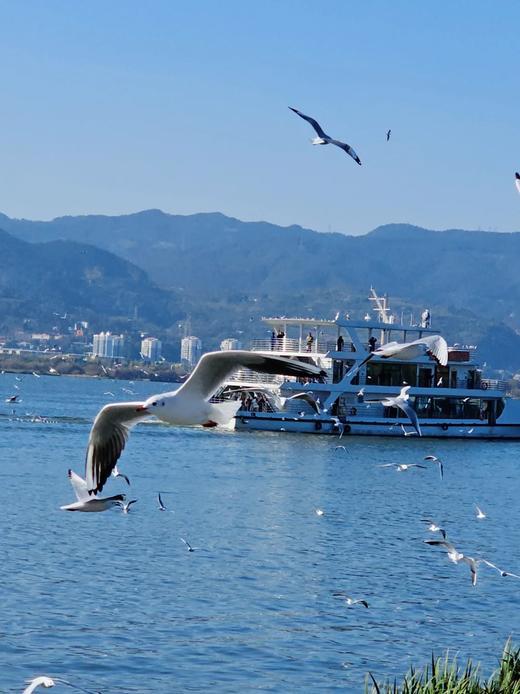 【定制】昆明-上海二等座补差升级一等座 商品图0