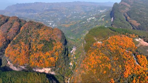 【剑门关单人门票】50元起抢剑门关门票，即刻出发，遇见不凡，征服天下第一关！ 商品图3