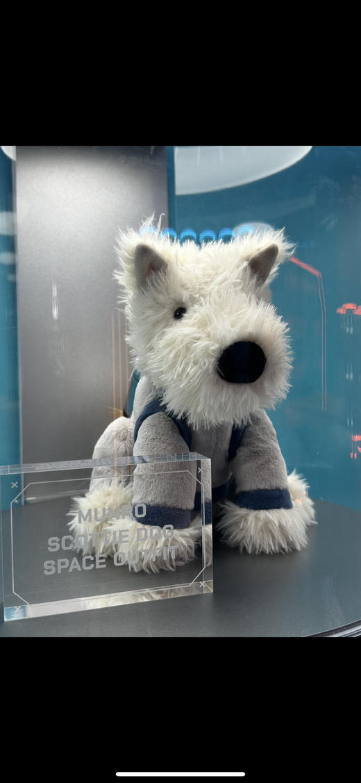 【周末秒杀 直接调价 下单即可】Jelly cat 韩国地区限定款 Munro门罗苏格兰梗狗狗公仔玩偶 商品图8