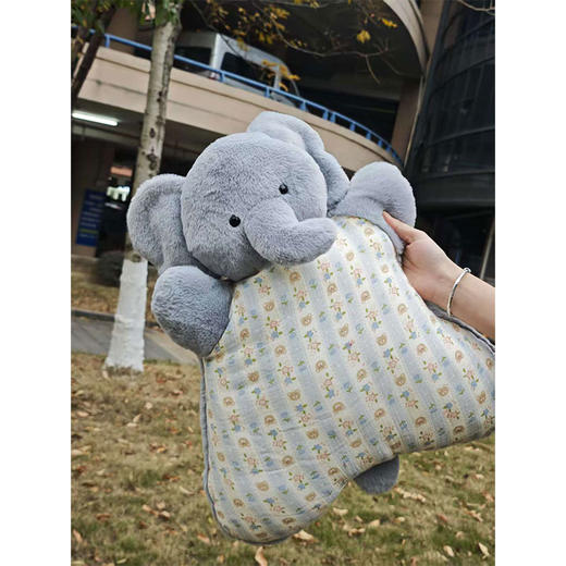 ZY豆袋抱枕-纪念日百货门店同款168898301 商品图4