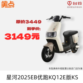 美点-台铃-星河2025EB优跑KQ12E版KS（带牌）