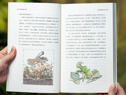 《儿童大学》（全5册），诺奖得主、莱布尼茨奖得主亲自授课，跨学科启蒙，孩子的问题解答书，提升儿童认知、思考、看世界方式。 商品图5