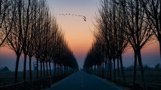 1月22日江西鄱阳湖深度精品| 吴城候鸟小镇、白鹤洲、象湖湿地5天（深度）（12人封顶） 商品图8