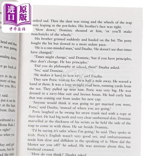 【中商原版】爱尔兰三部曲3 灼热的风 The Scorching Wind 英文原版 Walter Macken 畅销流行历史故事 爱尔兰故事 商品图2