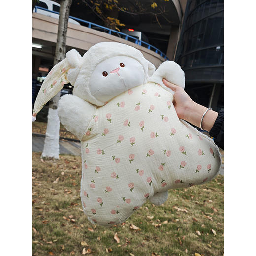 ZY豆袋抱枕-纪念日百货门店同款168898301 商品图3