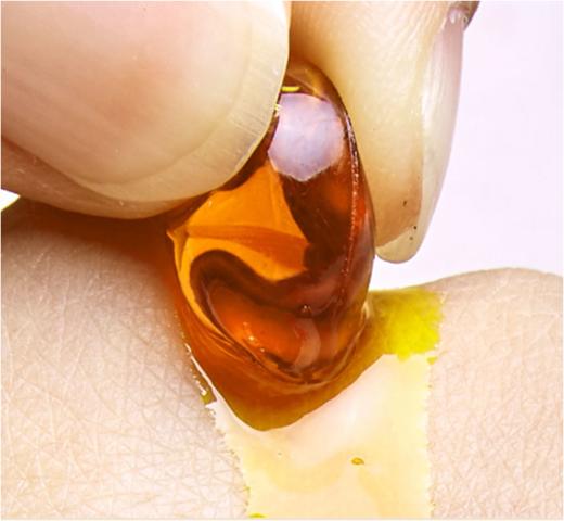 VY君同泰黑蒜油 商品图2