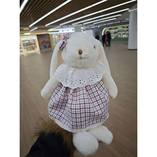 中号含羞兔毛绒公仔-纪念日百货门店同款168898061 商品图2