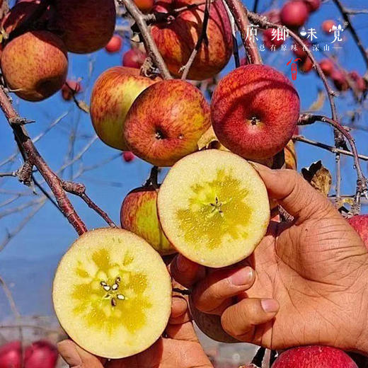 【买4送1】有机苹果刺梨四神汤饮（成都仓库-顺丰快递）| 100ml*10袋/箱，来自云南昆明，生产者：徐顺会【合作生产，公平贸易】 商品图7
