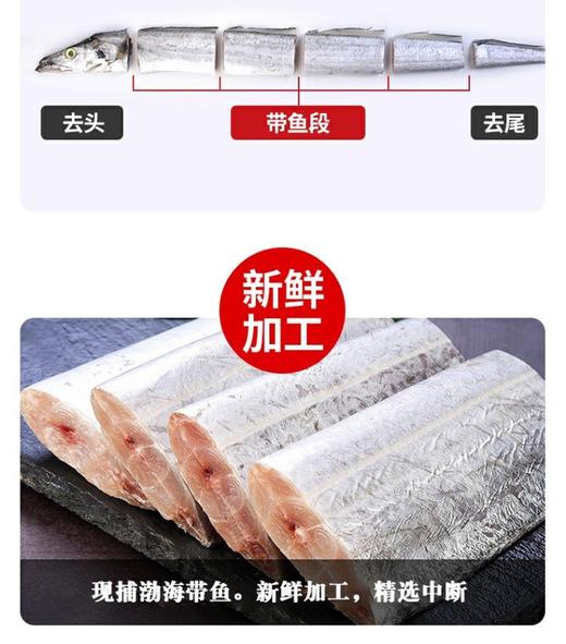 VY壮元海深带鱼段特惠组 商品图4