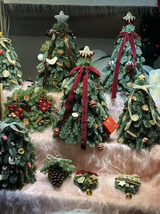 【出口餐具专场】限量系列🎁🎄树餐盘/甜品盘【CJ02】 商品图2