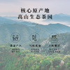 洪海古树活该发财-普洱茶组合（礼盒装）茶香清幽馥郁，茶味甘醇鲜爽 布朗山核心高山茶园，30年传统手艺滋味醇正 商品缩略图2