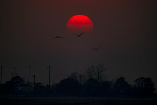1月22日江西鄱阳湖深度精品| 吴城候鸟小镇、白鹤洲、象湖湿地5天（深度）（12人封顶） 商品图4