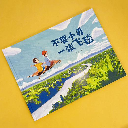 第35届陈伯吹国际儿童文学奖“华语新人奖:得主大吴图画书作品精选 （5册） 商品图4