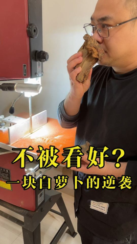 很多人都不看好的”白萝卜“沉香