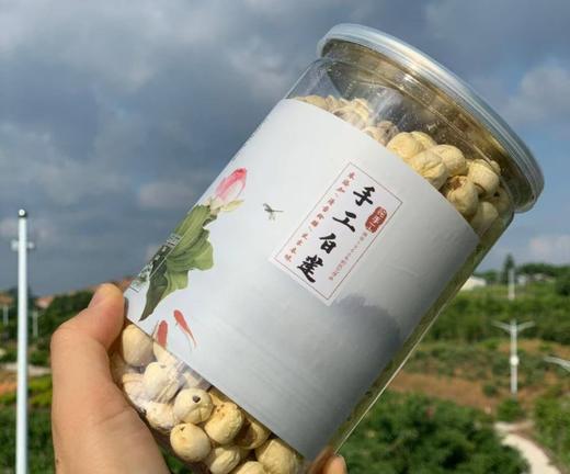 2025年薪晒 高州桂圆肉 商品图6