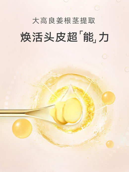 UKELEN丨牡丹健发奢养姜根洗发露  多规格可选 商品图2