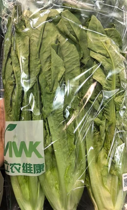 立农维康油麦菜 商品图0