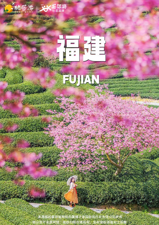 【福韵闽南】春樱漫舞双高4天游（广州往返） 商品图0