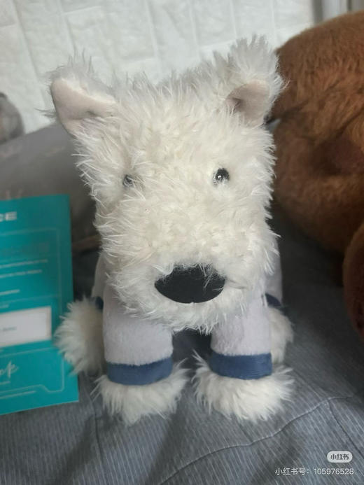 【周末秒杀 直接调价 下单即可】Jelly cat 韩国地区限定款 Munro门罗苏格兰梗狗狗公仔玩偶 商品图2