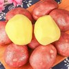 【香甜软糯】云南红皮土豆 鹅蛋大小 口口留香 商品缩略图1