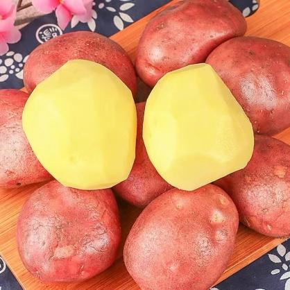 【香甜软糯】云南红皮土豆 鹅蛋大小 口口留香 商品图1