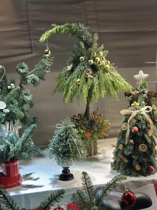 【出口餐具专场】限量系列🎁🎄树餐盘/甜品盘【CJ02】 商品图3