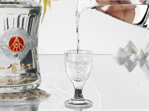 五粮液一尊天下-尊品 商品图3