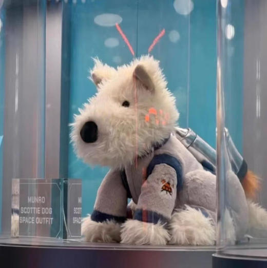 【周末秒杀 直接调价 下单即可】Jelly cat 韩国地区限定款 Munro门罗苏格兰梗狗狗公仔玩偶 商品图0