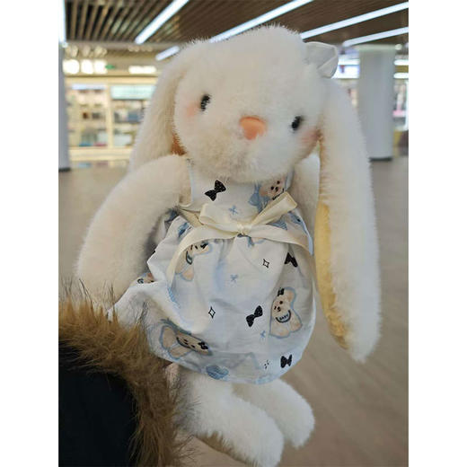 小号田园兔毛绒公仔-纪念日百货门店同款168898256 商品图3