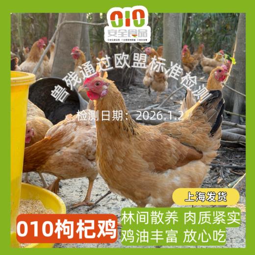 庄主通道订枸杞鸡（非卖品，兑换券领取） 商品图1