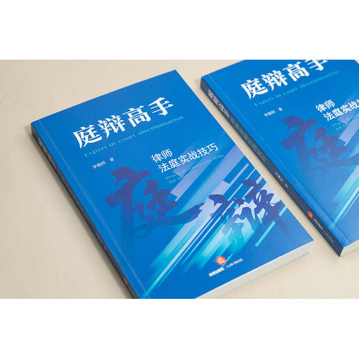 庭辩高手：律师法庭实战技巧 商品图1