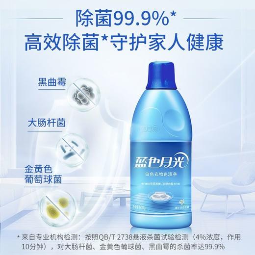 蓝月亮600g漂渍液 商品图1