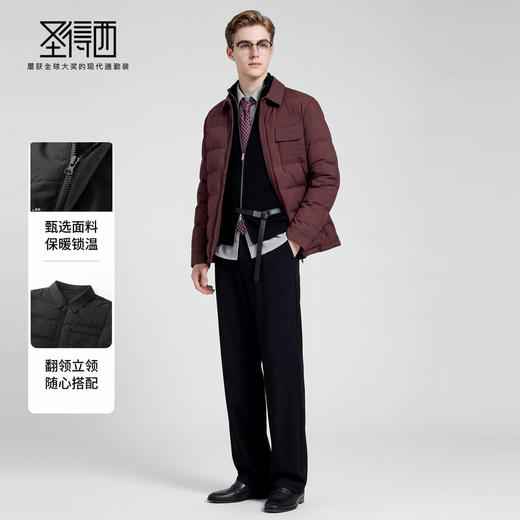 【鹅绒】圣得西个性潮款2025年冬季男士羽绒服翻领轻薄保暖外套 商品图3