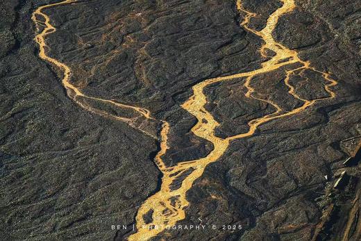 「优化版」新疆伊犁杏花（吐尔根+大西沟）、穿越天山胜利隧道、那拉提冰百合、库尔德宁云杉林、赛里木湖、安集海大峡谷8天摄影团 商品图5