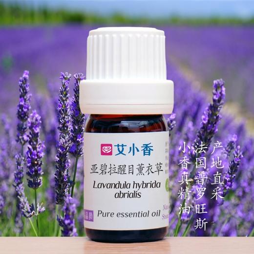 亚碧拉醒目薰衣草精油 法国普罗旺斯产地直采 舒心入睡香薰 商品图0