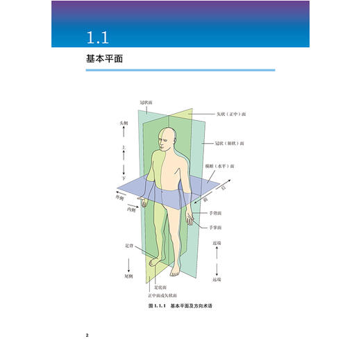 《肌肉骨骼疾病诊疗手册：临床实践指南》 商品图5
