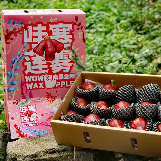 海南黑金刚莲雾精品礼盒   京东/顺丰空运 商品图0