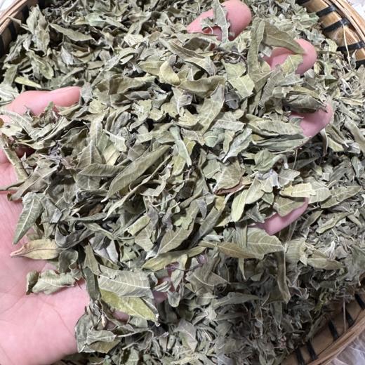 罗布麻 商品图1