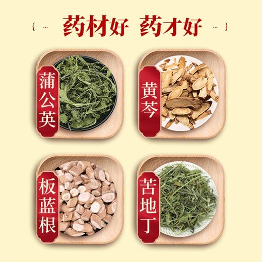 【官方正品】云南白药云丰蒲地蓝消炎片0.3g*24片/板*2板/盒 薄膜衣片 商品图2