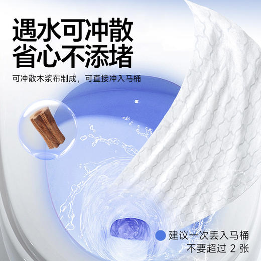 [三只羊网络] 小杨臻选 抽取式卫生湿厕纸80抽*4包装 商品图1