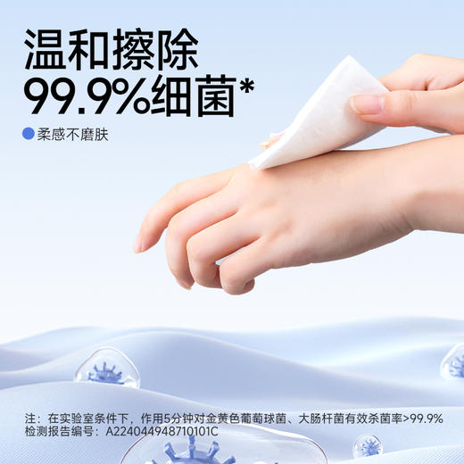 [三只羊网络] 小杨臻选 抽取式卫生湿厕纸80抽*4包装 商品图2